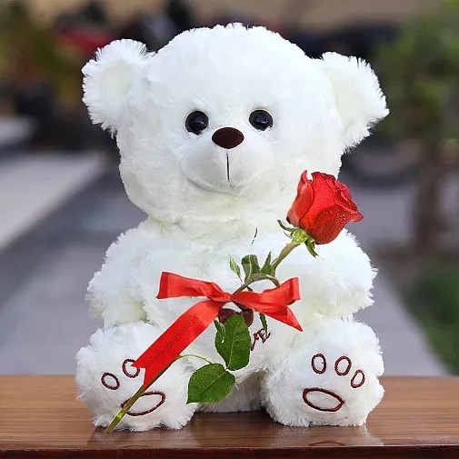 SINGLE ROSE WITH TEDDY BEARS