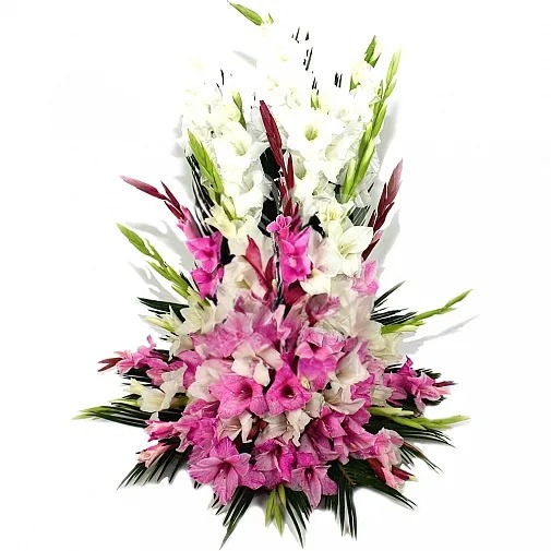 WHITE AND PINK GLADIOULAS BASKET