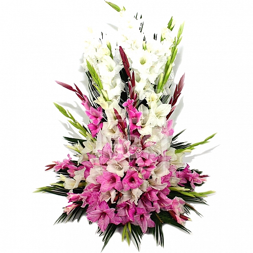 WHITE AND PINK GLADIOULAS BASKET